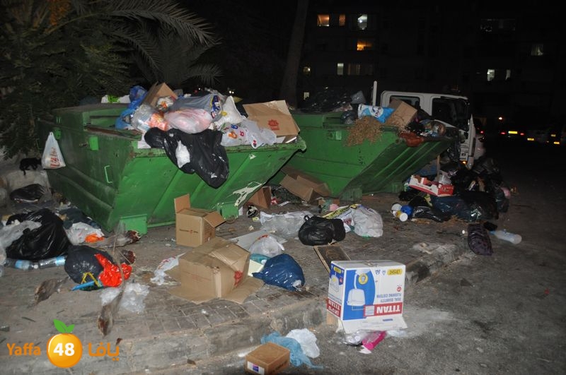 trash lud 907 (27).JPG